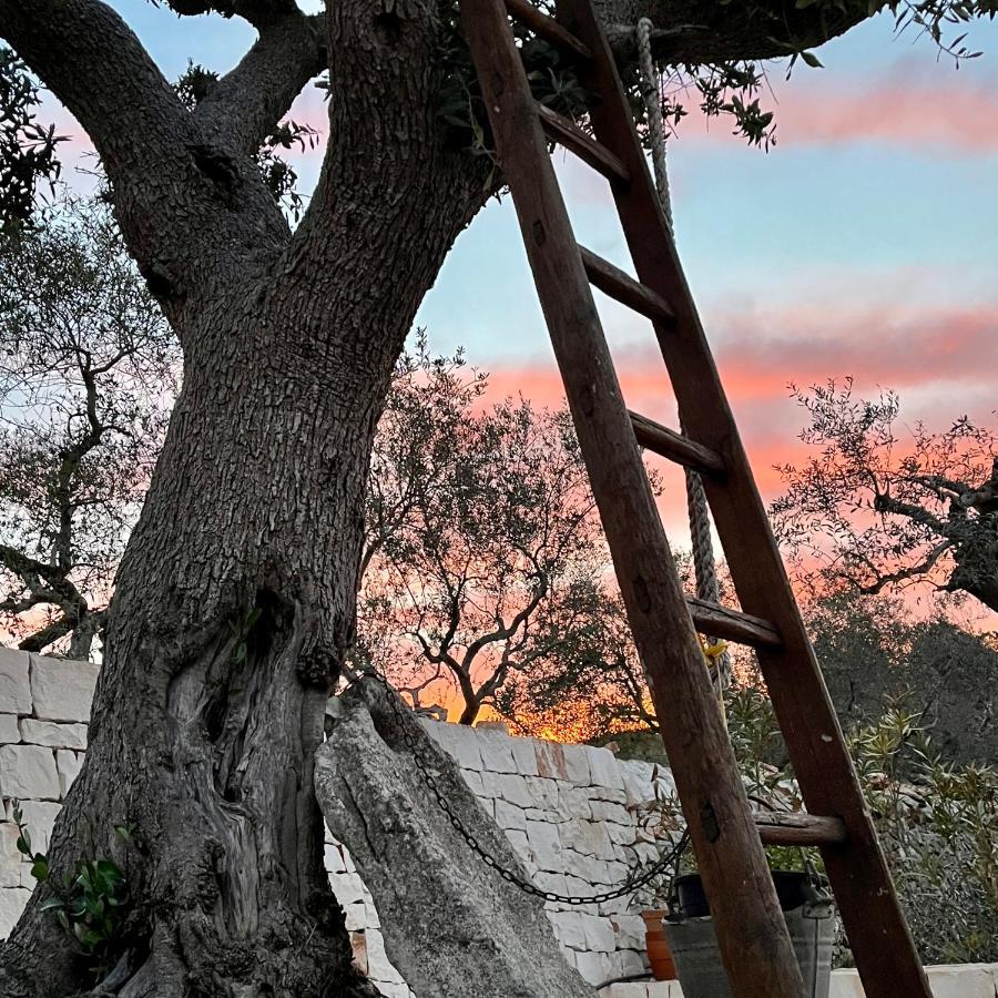 Quei Trulli Divini Bed & Breakfast Martina Franca Dış mekan fotoğraf