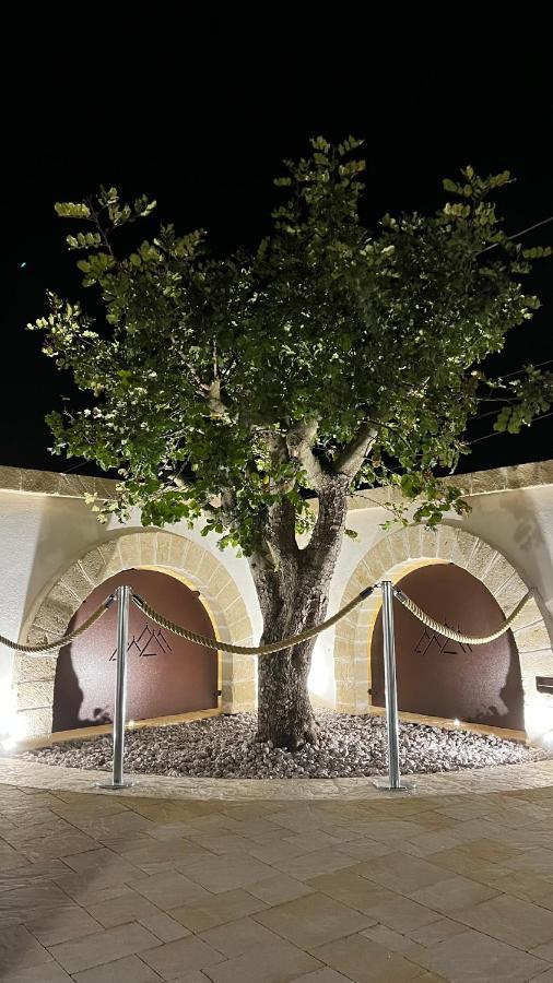 Quei Trulli Divini Bed & Breakfast Martina Franca Dış mekan fotoğraf